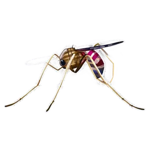 Detailed Mosquito Png Nku PNG image