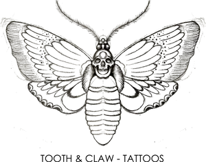 Detailed Moth Tattoo Design PNG image