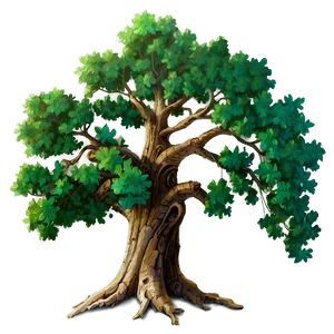 Detailed Oak Tree Drawing PNG Npl PNG