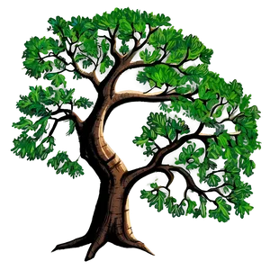 Detailed Oak Tree Drawing PNG Srr PNG