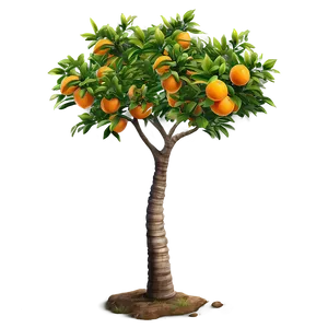 Detailed Orange Tree Png 06132024 PNG image