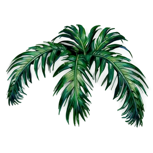 Detailed Palm Leaves PNG Ovt