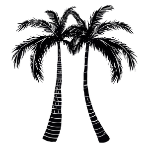 Detailed Palm Tree Silhouette PNG Cvm