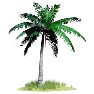 Detailed Palm Trees PNG 05042024