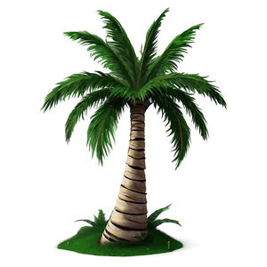 Detailed Palm Trees PNG Vxh