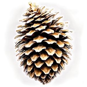 Detailed Pine Cone Png 06202024 PNG image