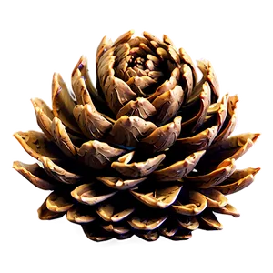 Detailed Pine Cone Png 41 PNG image