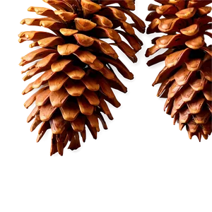 Detailed Pinecone Outline Png 06132024 PNG image