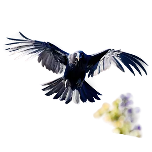 Detailed Raven Png 10 PNG image