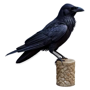 Detailed Raven Png 21 PNG image