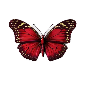 Detailed Red Butterfly Png Csk50 PNG image