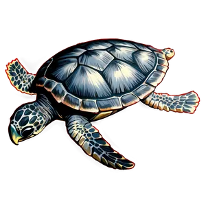 Detailed Sea Turtle Sketch Png Gwh97 PNG image