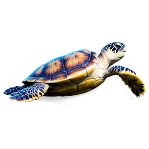 Detailed Sea Turtle Sketch Png Wml8 PNG image