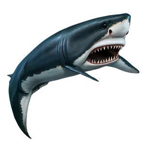 Detailed Shark Jaw Drawing Png 33 PNG image