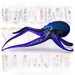 Detailed Squid Anatomy Png Yup PNG image