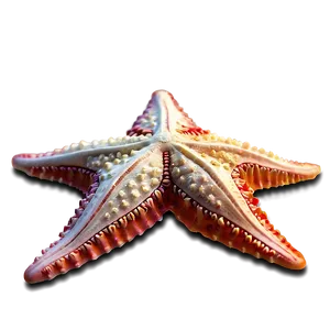 Detailed Starfish Anatomy PNG 51