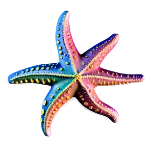 Detailed Starfish Anatomy PNG Xed