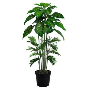 Detailed Tall Plant PNG Wik65