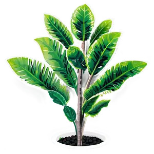 Detailed Tall Plant PNG Xie