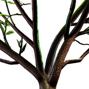 Detailed Tree Branches PNG 06282024