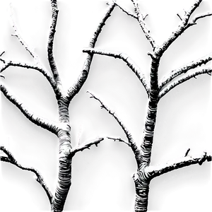 Detailed Tree Branches PNG 78