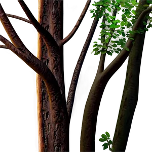 Detailed Tree Branches PNG Nar
