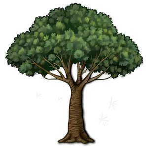 Detailed Tree Elevation Png 39 PNG image