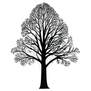 Detailed Tree Forest Silhouette PNG Hce PNG