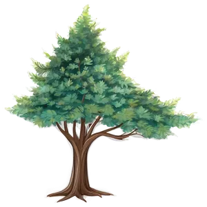 Detailed Tree Sketch Png 06122024 PNG image