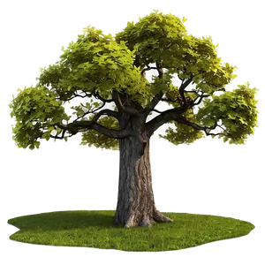 Detailed Tree Top Texture Png Plj PNG image