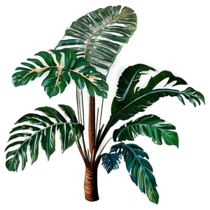 Detailed Tropical Plants PNG Kyk