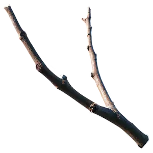 Detailed Twig PNG 83
