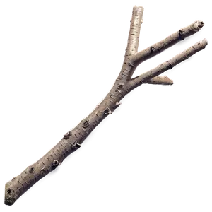 Detailed Twig PNG Avg
