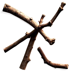 Detailed Twig PNG Ppo