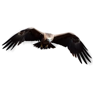 Detailed Vulture Circling PNG Hop PNG