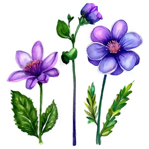 Detailed Watercolor Flowers PNG Kem16