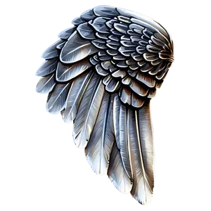 Detailed White Wings PNG 06262024
