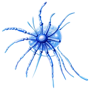 Detailed Zooplankton Drawing PNG 74