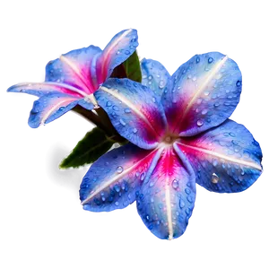Dew-kissed Flores Morning Png 81 PNG image