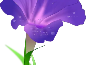 Dew Kissed Morning Glory PNG image