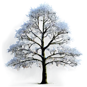 "dew-kissed Morning Tree PNG" Xjq12