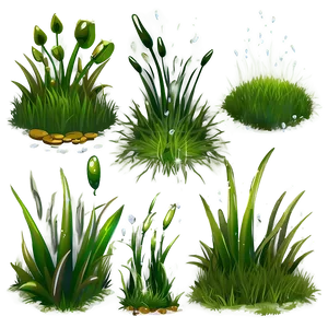 Dew On Grass Clipart PNG 60