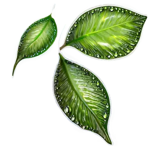 Dew On Leaves Png 82 PNG image