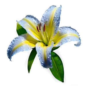 Dew On Lily Flower PNG 60 PNG
