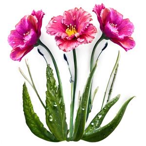 "dewdrop Delights: Fresh Flower PNG" D