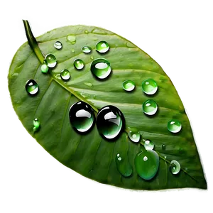 Dewdrop On Leaf Water Png Jwk PNG image