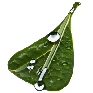Dewdrop On Leaf Water Png Kqv PNG image