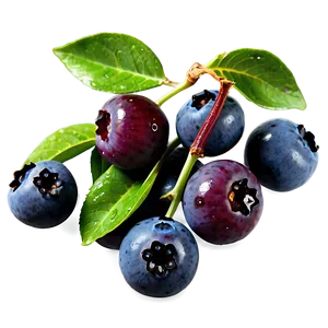 Dewy Blueberries Png 05242024 PNG image