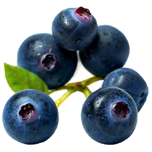 Dewy Blueberries Png 44 PNG image