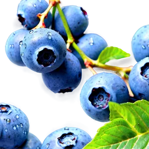 Dewy Blueberries Png Qeh PNG image